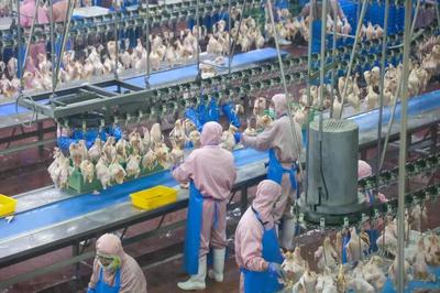 乳山預(yù)制菜企業(yè)實(shí)現(xiàn)年銷售額近10億元，飼料原料銷售雙輪驅(qū)動(dòng)