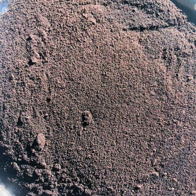 專業推薦 永多飼料級血粉與鴨血粉，高蛋白易消化原料的首選