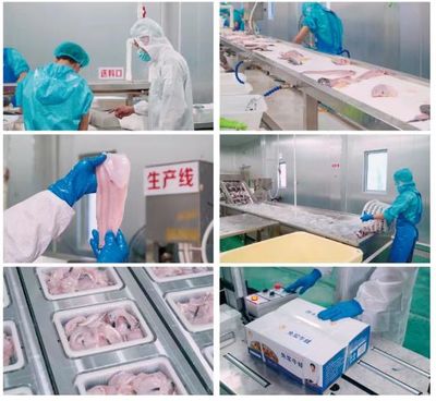 牛蛙飼料巨頭再啟新篇 年銷破10萬噸后，戰(zhàn)略布局原料銷售市場