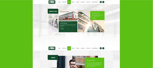 雷士光電官方網(wǎng)站建設(shè)項(xiàng)目 構(gòu)建專業(yè)數(shù)字門(mén)戶，照亮品牌未來(lái)