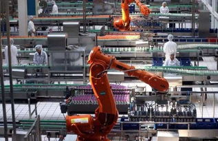 大型裝備制造項目生產(chǎn)計劃管理全攻略 從理論到實踐的信息技術(shù)應(yīng)用與咨詢指南