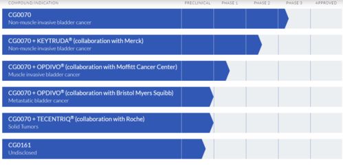 溶瘤病毒聯合PD-L1抑制劑 羅氏達成臨床合作，引領腫瘤免疫治療新方向